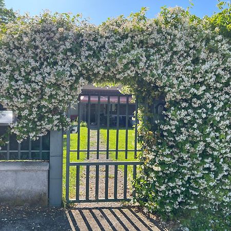 Garda Art&Garden Villa Volta Mantovana Eksteriør bilde