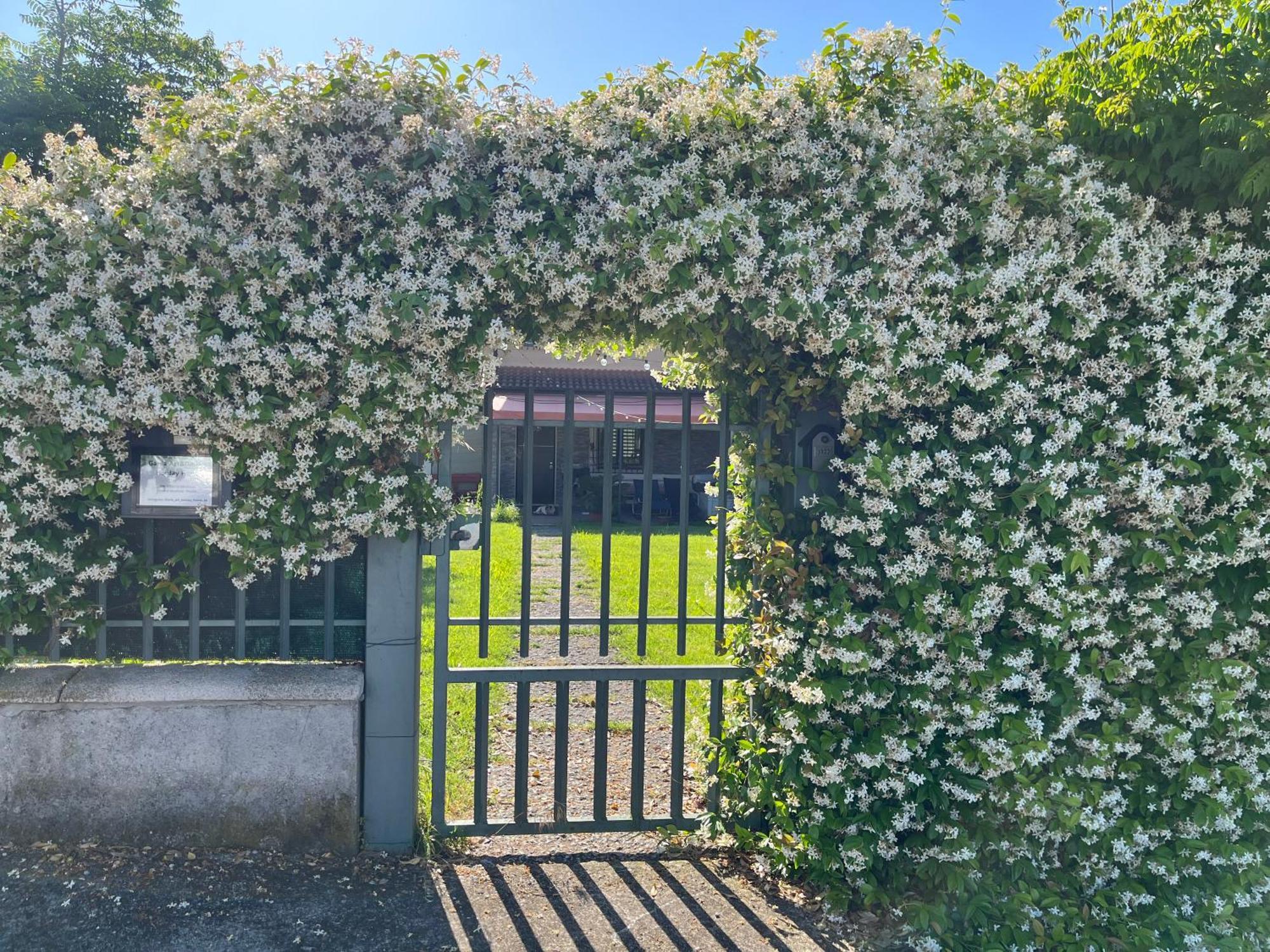 Garda Art&Garden Villa Volta Mantovana Eksteriør bilde