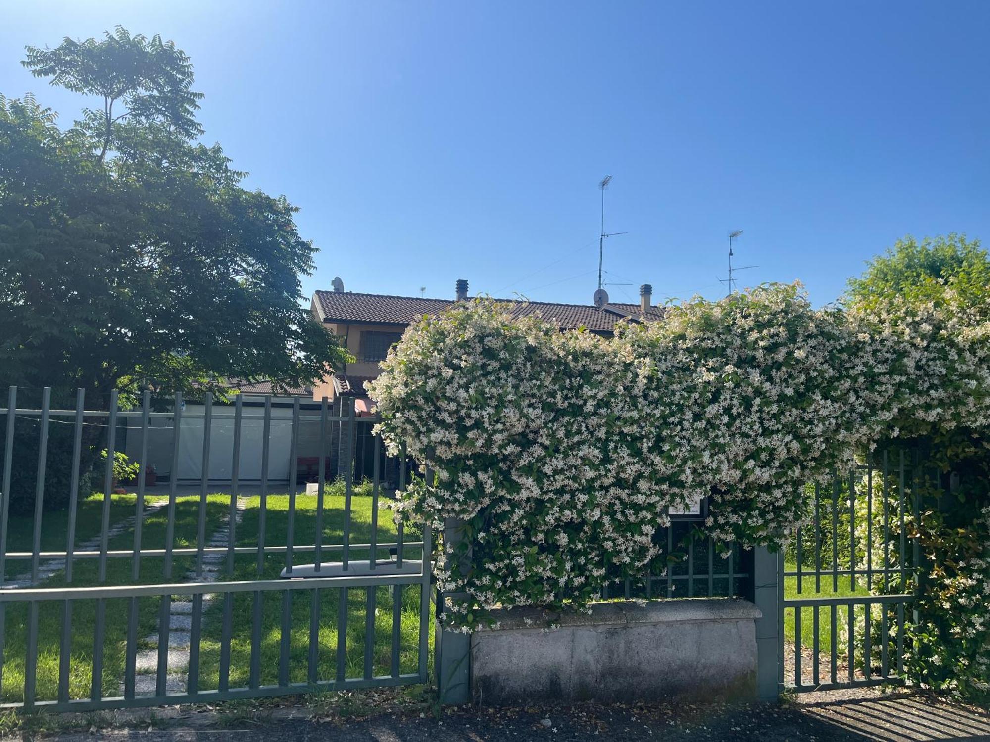 Garda Art&Garden Villa Volta Mantovana Eksteriør bilde