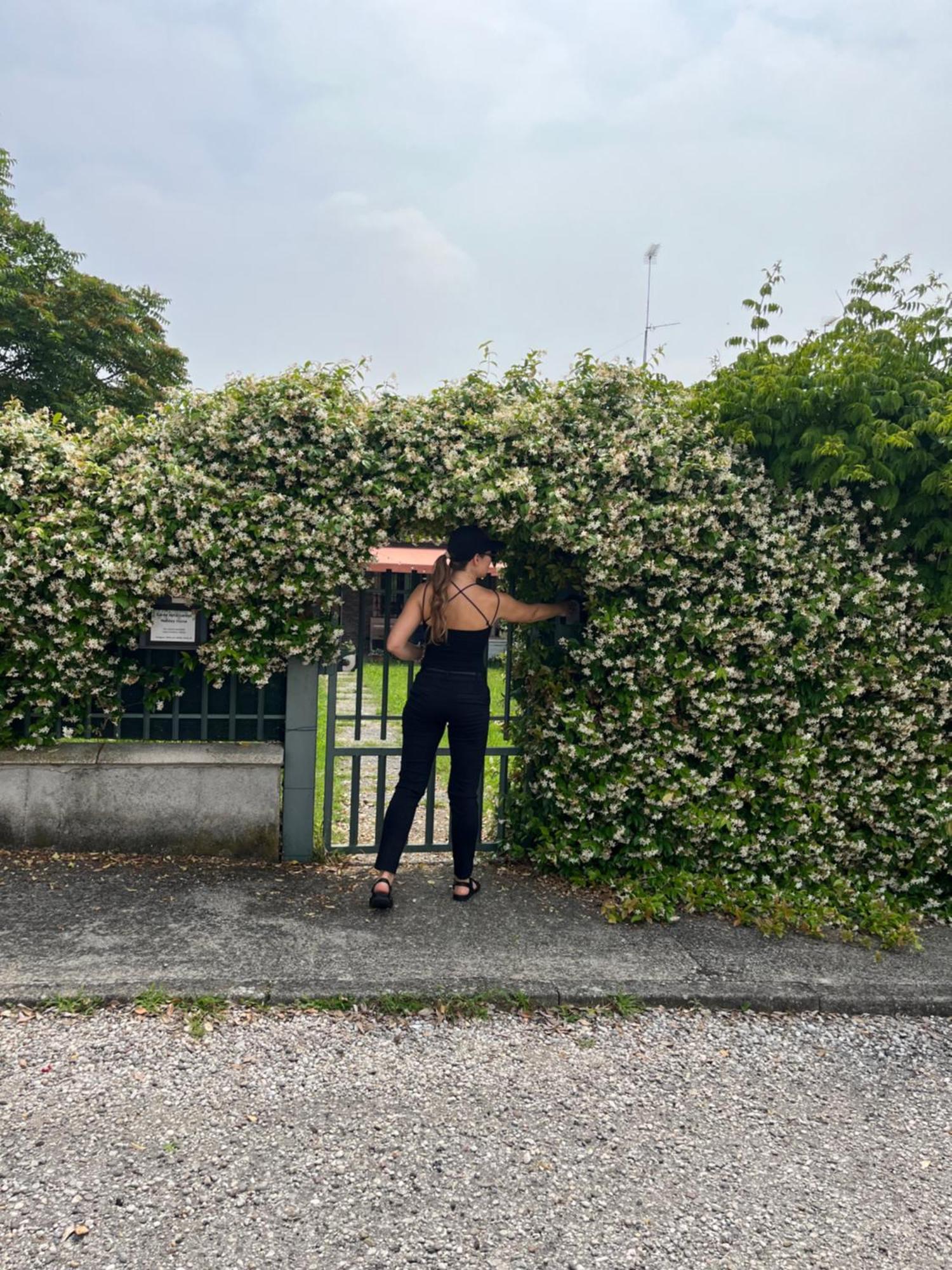 Garda Art&Garden Villa Volta Mantovana Eksteriør bilde